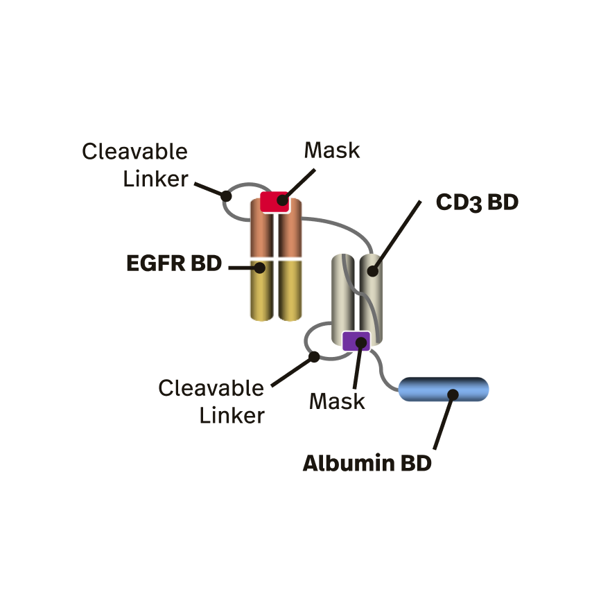 unique-immunotherapies-cc