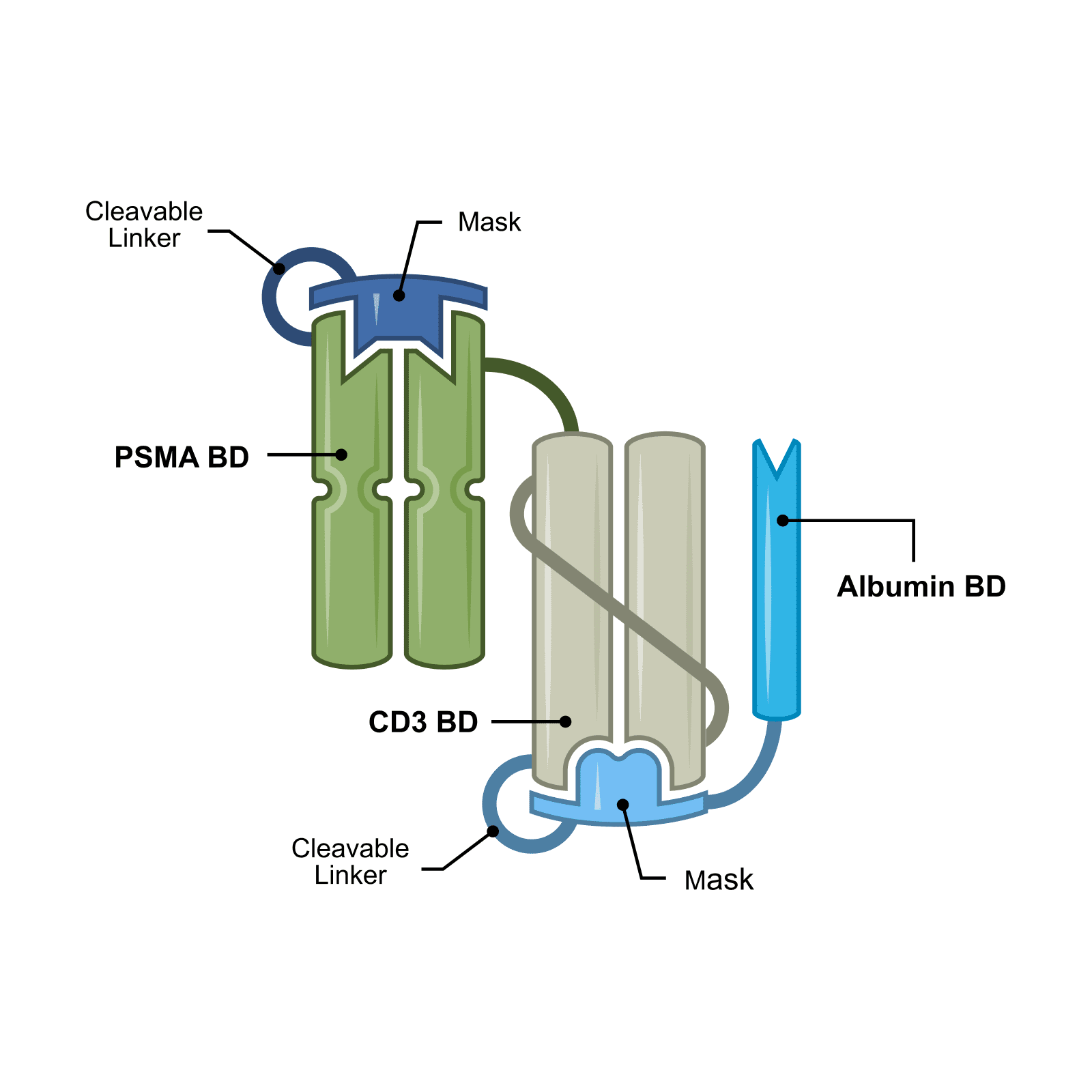 unique-immunotherapies-cc