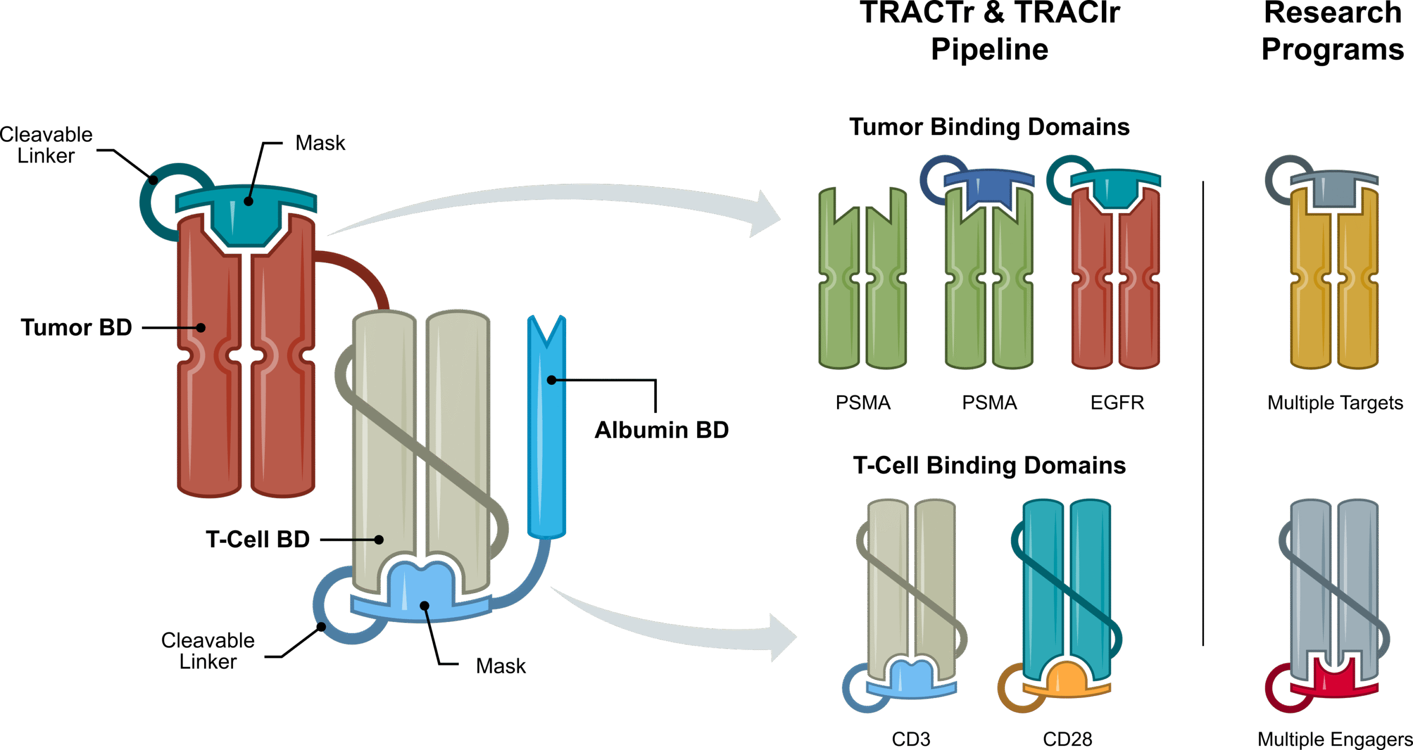 Janux_Tech_Platform_3